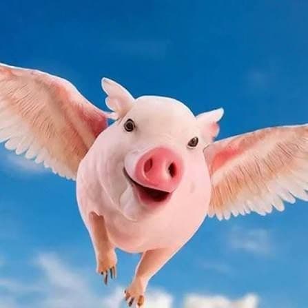 Полёт (FLY)